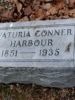 CONNER VATURA (1851-1935) CONNER VATURA (1851-1935)